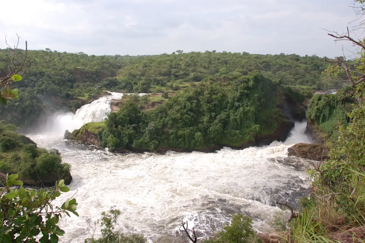 12 Days Pearl Of Africa Adventure - Mid Range
